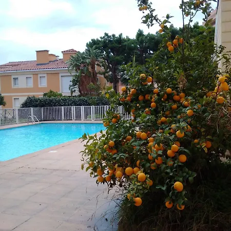 Direct Monaco Devant Piscine Apartment Beausoleil